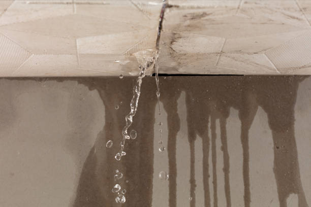 Professional Flood Damage Cleanup technician working in Lucerne, CO
